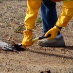 20160116 Weedwacker firefighting training 132516